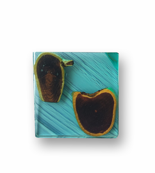 Blue Figs Coasters