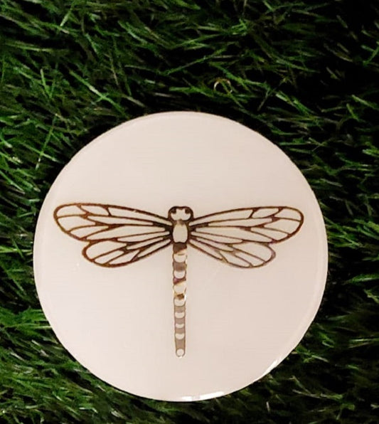 Dragonfly coaster